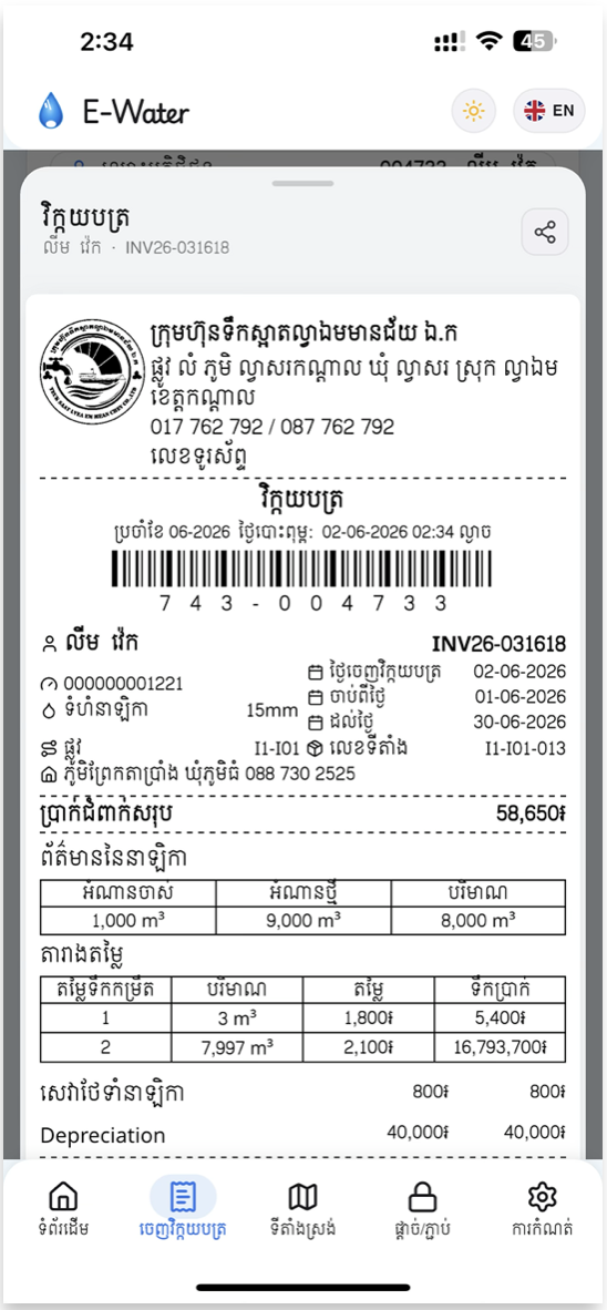 Invoice preview
